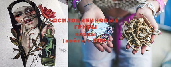 a pvp Михайловск