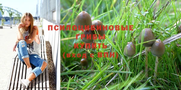 гашишное масло Михайлов