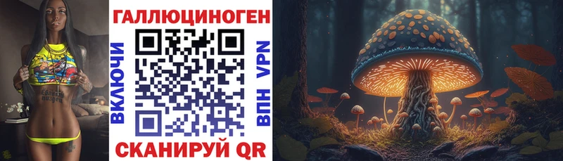 Галлюциногенные грибы GOLDEN TEACHER  Купить где  Хадыженск 